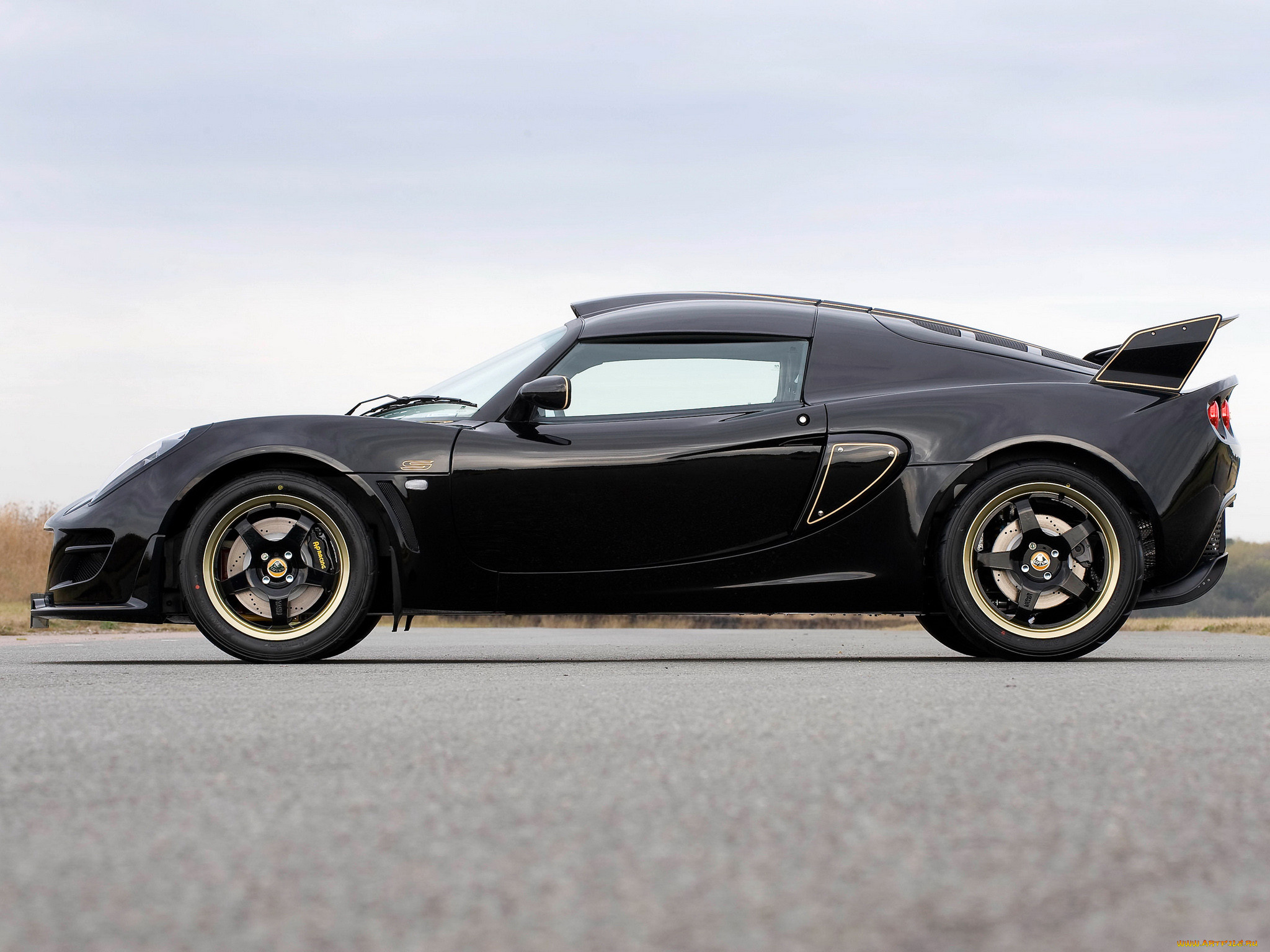 , lotus